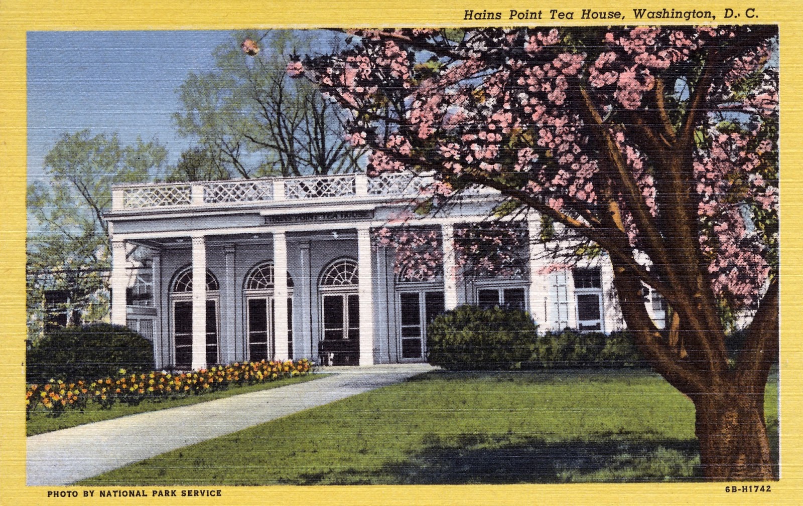 Saving Hains Point: The Girl Scout Angle