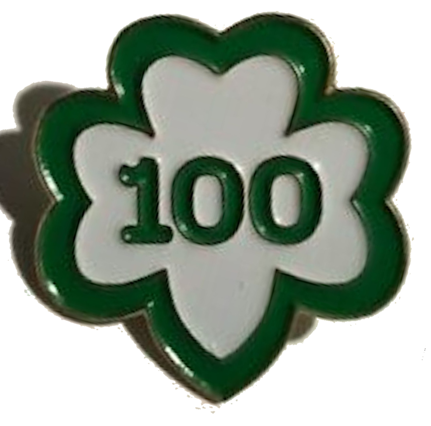 Girl Scouts Look Back 110 Years 2000s Girl Scout History Project