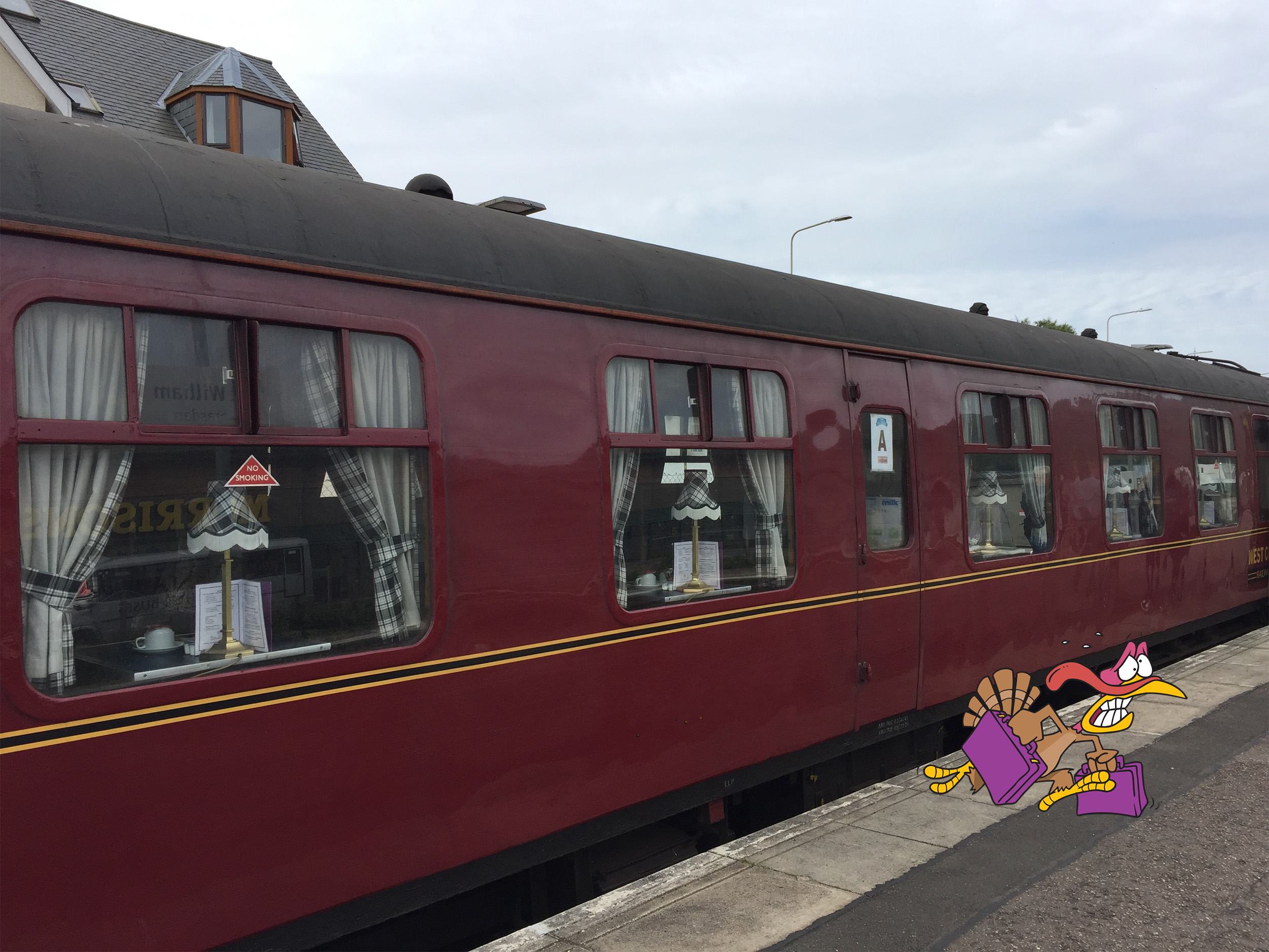 There’s a Girl Scout Turkey on my Train!